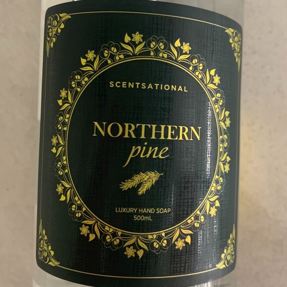 NWT Scentsational Northern Pine Natural Hand & Body Wash - Picture 4 of 4